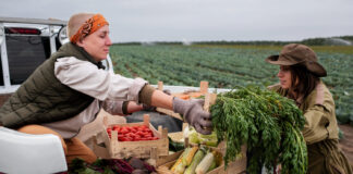 How to Choose the Right Freight Partner for Bulk Agricultural Goods Freight
