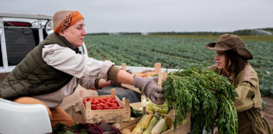 How to Choose the Right Freight Partner for Bulk Agricultural Goods Freight
