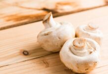 Lab-Grown Fungi: Exploring the Potential of Liquid Culture Research Fungi