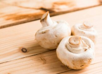 Lab-Grown Fungi: Exploring the Potential of Liquid Culture Research Fungi