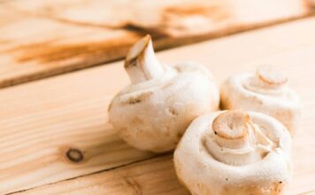 Lab-Grown Fungi: Exploring the Potential of Liquid Culture Research Fungi