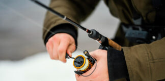 Essential Gear Tips for Modern Anglers Gear