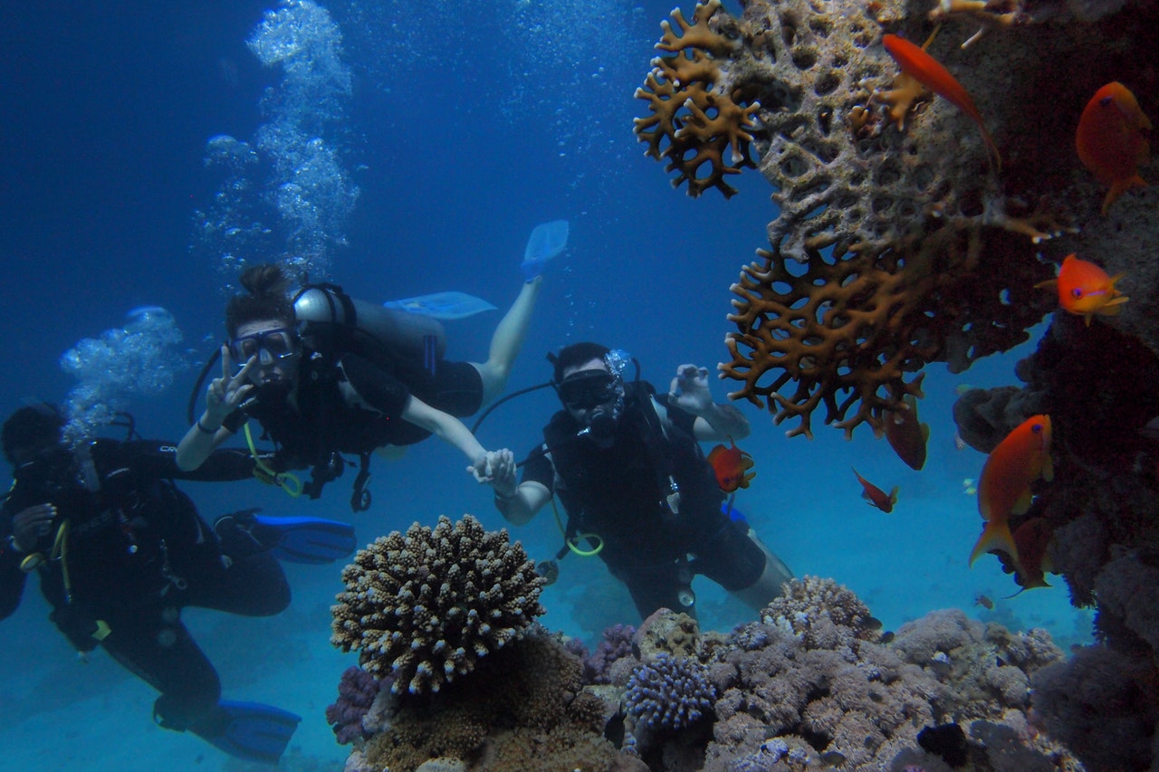 Go for a snorkeling vacation