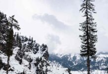 Love in the Hills: A Hygge Valentine’s Escape to Himachal’s Dreamy Cottages