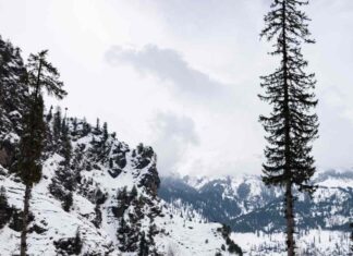 Love in the Hills: A Hygge Valentine’s Escape to Himachal’s Dreamy Cottages