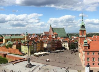 How Can I Check My Case About Polish Citizenship? Polish citizenship