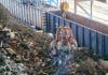 How Smart Scrap Handling Can Improve Your Business Operations Scrap Handling