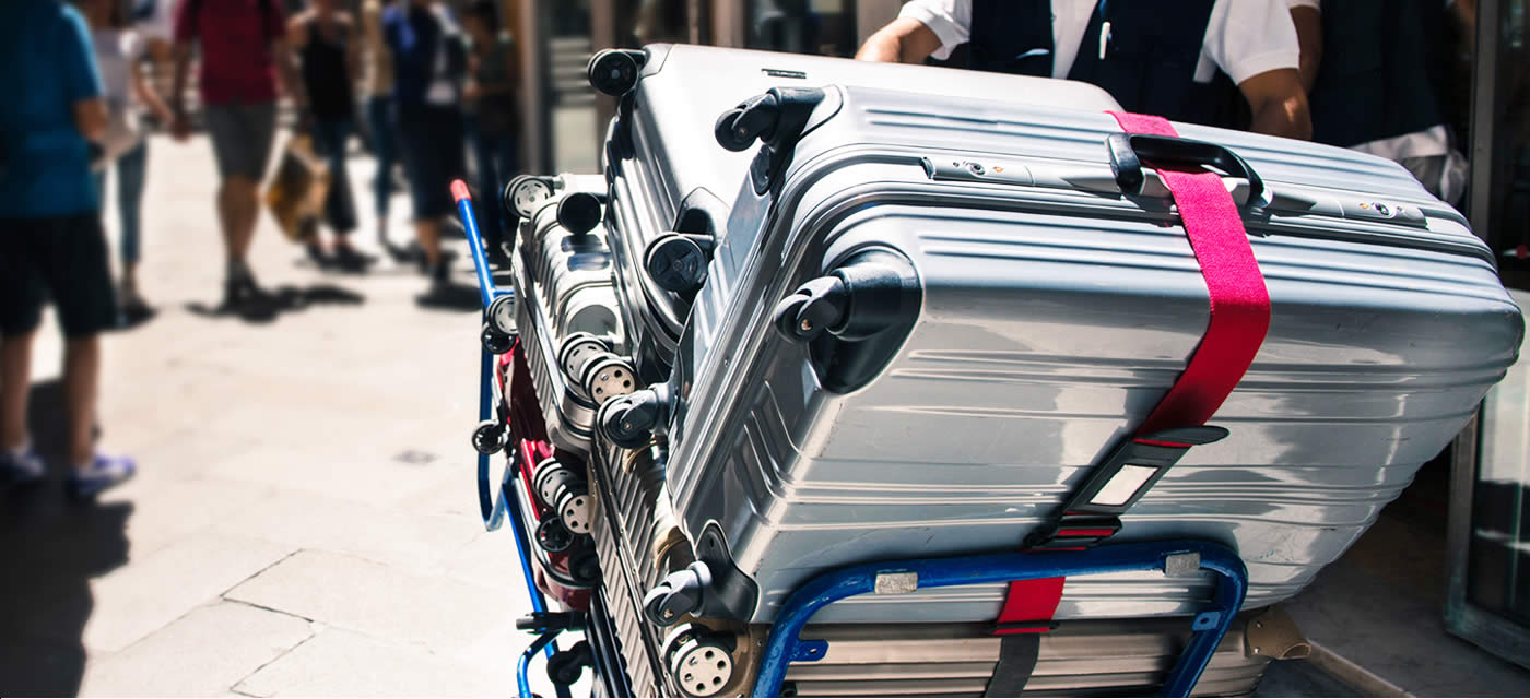 shipping luggage cost