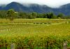Hunters Valley in Australia