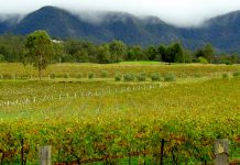 Hunters Valley in Australia