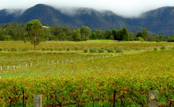 Hunters Valley in Australia