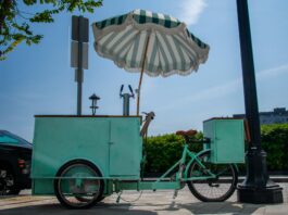 Essential Features To Consider When Choosing an Ice Cream Cart Ice Cream Cart