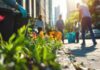 Sustainable Junk Removal Solutions for Urban Communities Junk Removal