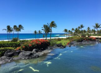 Kauai Scuba Diving Tours With Explore Kauai Scuba