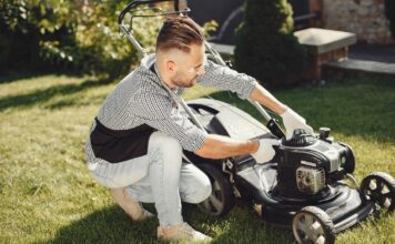 The Complete Guide To Lawn Care For Every Season Lawn Care
