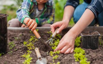 Enhancing Lawn Health Through Core Aeration: A Comprehensive Guide Lawn Health