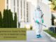 Comprehensive Guide To Pest Control For A Healthier Living Environment Living Environment