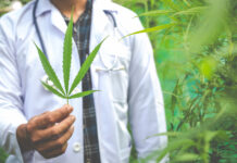 Achieve Mastery in Cannabis with Professional Certifications