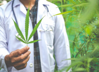 Achieve Mastery in Cannabis with Professional Certifications