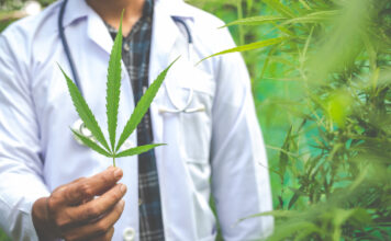 Achieve Mastery in Cannabis with Professional Certifications