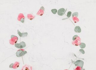 Maximizing Space With Compact and Portable Backdrop Stand Solutions Portable Backdrop Stand Solutions