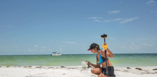 Beach Metal Detecting: Best Practices for Treasure Hunting Success Metal Detecting