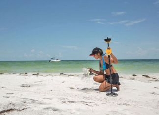 Beach Metal Detecting: Best Practices for Treasure Hunting Success Metal Detecting
