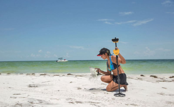 Beach Metal Detecting: Best Practices for Treasure Hunting Success Metal Detecting