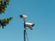 The Important Role of Predictive Monitoring Technologies in Households