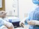 Choosing A Montreal Surgeon: 5 Essential Steps To Ensure The Best Choice Montreal Surgeon