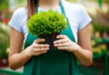 MyGreenBucks Kenneth Jones: A Clever Strategy For Increasing Green Wealth MyGreenBucks Kenneth Jones