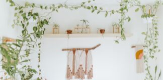 How Nature Inspired Decor and Statement Lighting Transform Modern Interiors Nature Inspired Decor and Statement Lighting Transform Modern Interiors