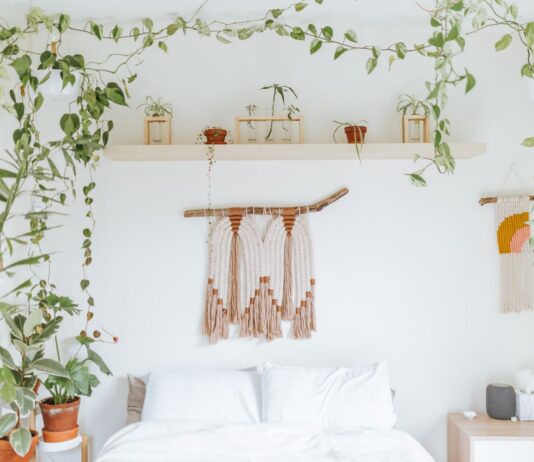 How Nature Inspired Decor and Statement Lighting Transform Modern Interiors Nature Inspired Decor and Statement Lighting Transform Modern Interiors