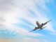 Can You Take Ashes on a Plane? Traveling with Cremains airline policies