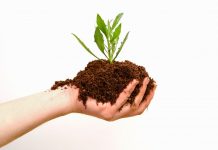 What is Organic Marketing? Organic Marketing