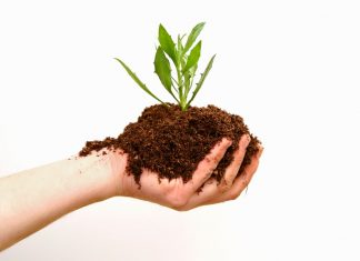 What is Organic Marketing? Organic Marketing