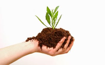 What is Organic Marketing? Organic Marketing