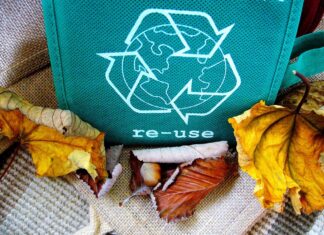 Reducing Waste, Saving Trees: The Power of Paper Recycling Paper Recycling