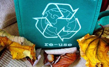 Reducing Waste, Saving Trees: The Power of Paper Recycling Paper Recycling