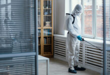 The Importance Of Cleanliness For Successful Pest Control The Importance Of Cleanliness For Successful Pest Control