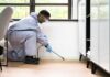 Practical Tips for Maintaining a Pest-Free Home Pest-Free Home