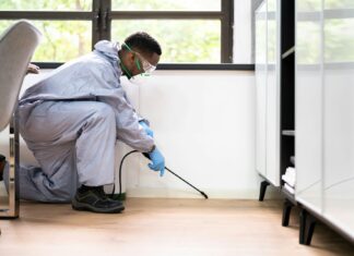 Practical Tips for Maintaining a Pest-Free Home Pest-Free Home
