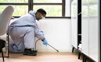 Practical Tips for Maintaining a Pest-Free Home Pest-Free Home
