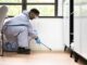 Practical Tips for Maintaining a Pest-Free Home Pest-Free Home