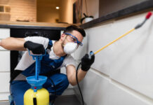 The Secret to Pest-Free Homes: Practical Tips and Strategies pest control