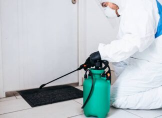 How to Pest-Proof Your Home: Tips from the Experts Pest-Proof Your Home