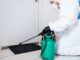 How to Pest-Proof Your Home: Tips from the Experts Pest-Proof Your Home
