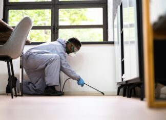 Why Year-Round Pest Protection Plans Are Smart Investments for North Georgia Homeowners