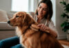 7 Simple Pet Care Habits That Prevent Common Health Issues Prevent Common Health Issues