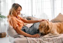 Pet-Friendly Apartment Living: Tips for a Smooth Experience Pet-Friendly Apartment Living: Tips for a Smooth Experience